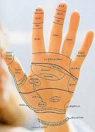 Reflexology Hand Chart Tips Guidelines For Hand