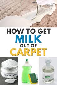 how to get milk out of carpet and