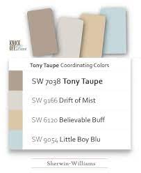 Sherwin Williams Tony Taupe Review