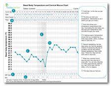 Download A Basal Body Temperature And Cervical Mucus Chart