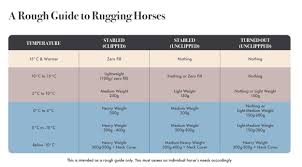horse blanket basics when and how to