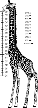 Giraffe Height Chart Giraffe Height Height Chart Giraffe