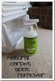 got kids naturally cleaning carpets