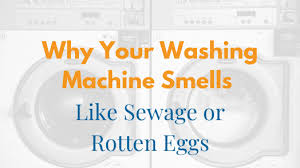 why your washing machine smells like