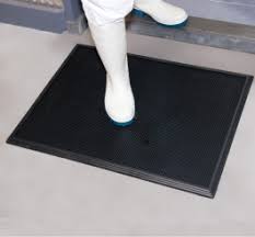 shoe sanitizing floor mat
