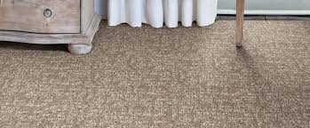 rosenfeld carpet stainmaster