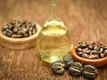 what-is-castor-oil-called-in-india