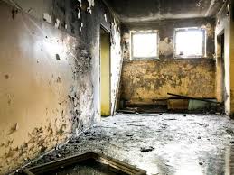 Black Mold Symptoms And Health Effects