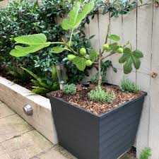 Raised Garden Bed Ideas Tips And Pics