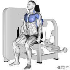 seated dip machine standards for men
