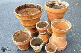 terracotta pots clay flower pots