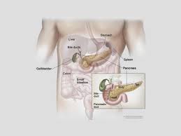 pancreatic cancer osuccc james