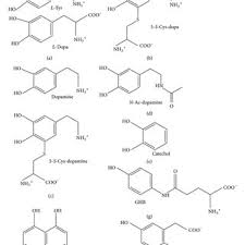 structure of melanin precursors for the