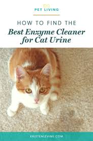 the best cat urine enzyme cleaner pet
