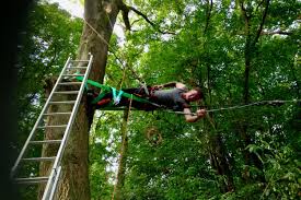 Summer is ideal for enjoying the outdoors. Installing Nest Swings Treehouses Rope Bridges Treetop Walkways And Nest Swings