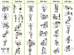 17 Factual Chest Chart Workout