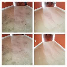 about palmetto carpet cleaning