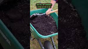 spread gr seed soil fast shorts
