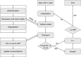 Flow Chart Iteration Over Updating Of States Transport