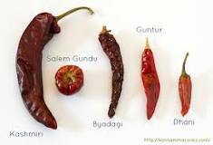 Which chilli is spicy Guntur or Byadgi?