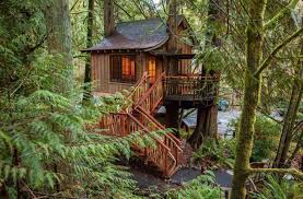 Tree House Design Ideas That Will Make