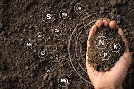 Matter is a general term describing any 'physical substance'. Do You Know The Difference Between Organic Material And Soil Organic Matter Greenstories