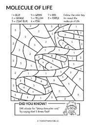 Use our search system and download ebook for computer, smartphone or online reading. Biology Coloring Worksheets Teaching Resources Tpt