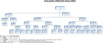 Organisation Chart Nepal Telecommunications Authority