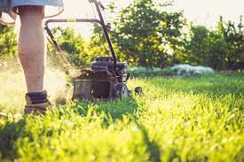 Best Lawn Care Services In Chesapeake