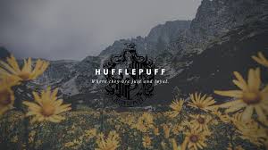 hufflepuff aesthetic computer