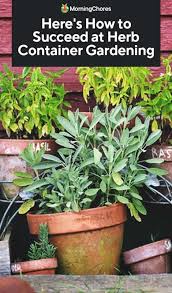 Herb Container Gardening