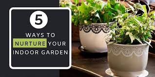 Tips To Nurture Your Indoor Garden