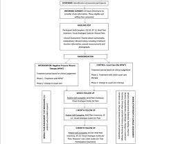 Participant Flowchart And Schedule Of Activity Outlining