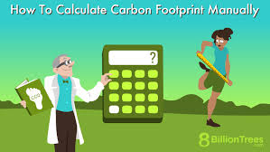Calculate Carbon Footprint Manually