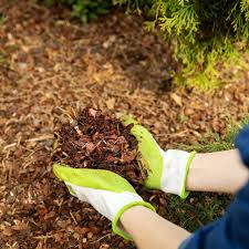 mulching services ipswich qld mr trees