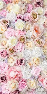 pastel rose flower hd phone wallpaper