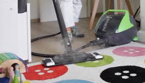 polti vaporetto clean the home with