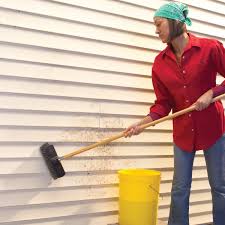 how to clean vinyl siding like a pro
