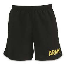 u s army surplus apfu physical fitness