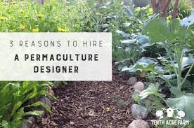 How To Develop A Permaculture Site In