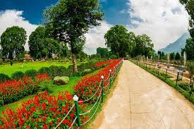 The Best 5 Flower Gardens Of India