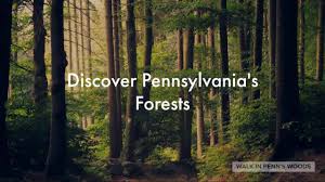 Learn how to get the most out of your environment and discover educational content on managing forests. Center For Private Forests At Penn State Home Facebook