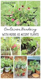 Flowers And Herbs As Accent Plants