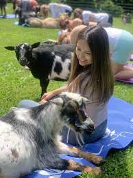 mother s day goat yoga experience