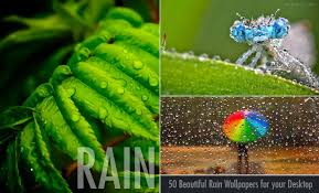 50 beautiful rain wallpapers for your