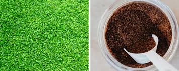 can-you-put-coffee-grounds-on-the-lawn