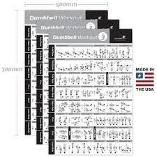 Newme Fitness Dumbbell Exercise Posters Laminated 3 Pack Includes Vol 1 2 3 Workout Strength Training Chart Build Muscle Tone Tighten Home Gym