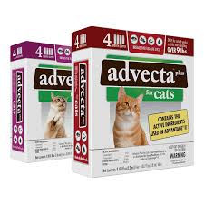 advecta plus flea protection for cats