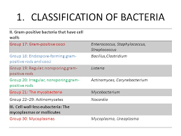Classification Of Bacteria Lamasa Jasonkellyphoto Co