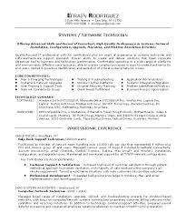 Resume Professional Profile Summary Of An It Sample Computer